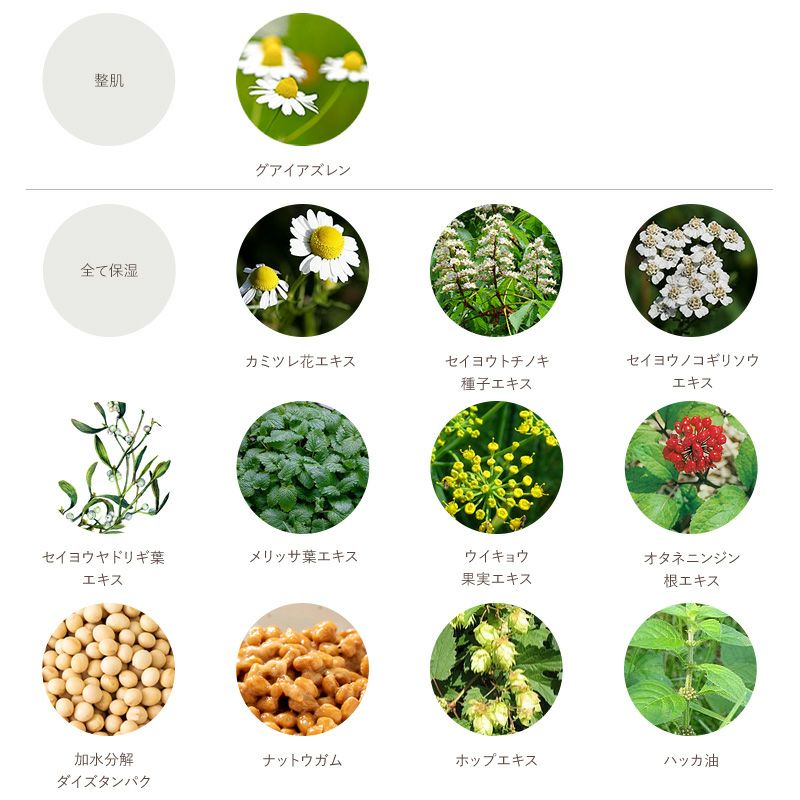 アズレニア プロテクト パーフェクション クリーム | LE WATOSA公式