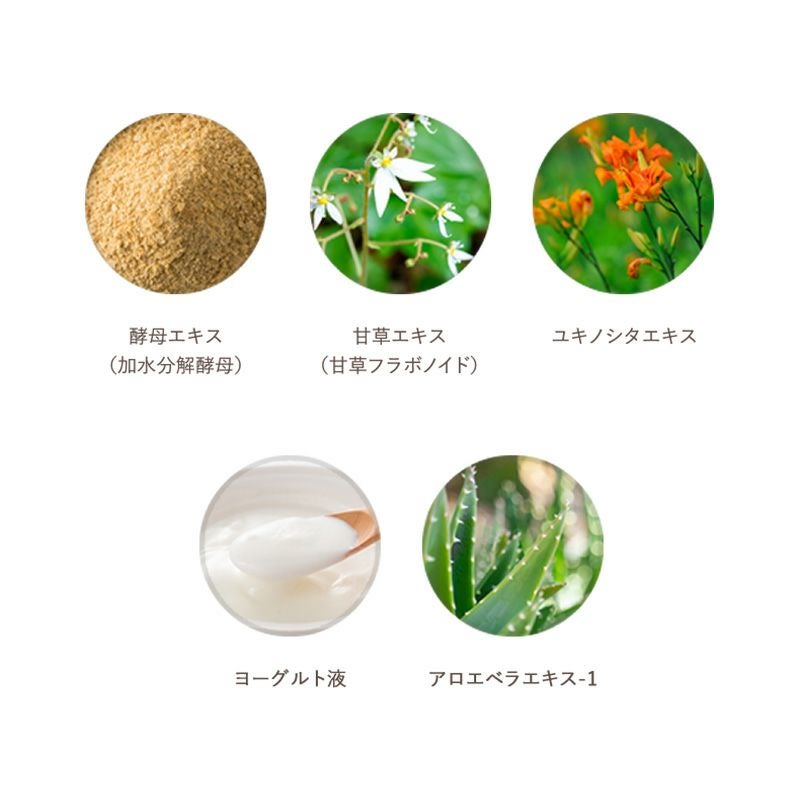 ア メリー フェアリー ダスト | LE WATOSA公式オンラインショップ